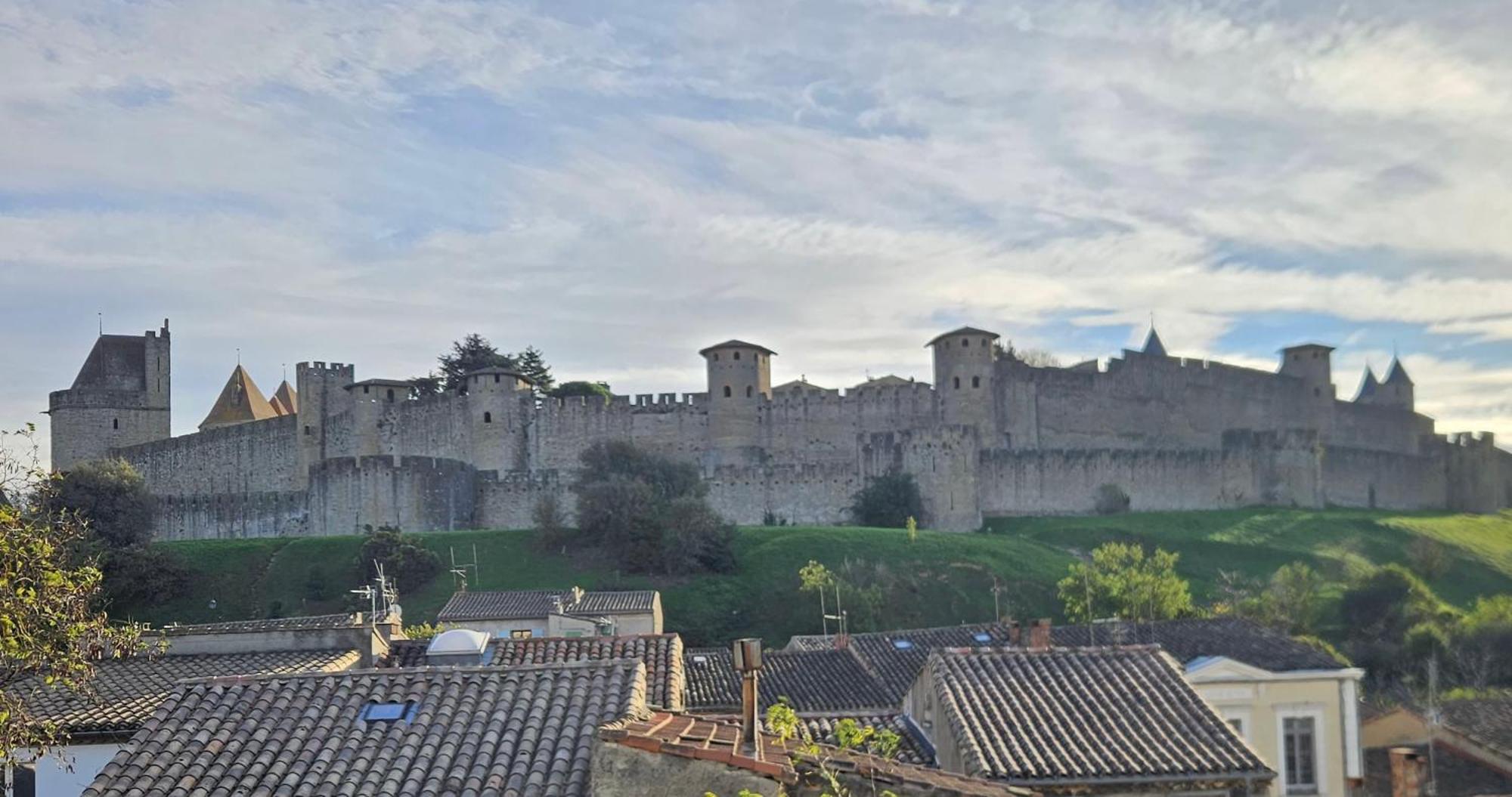 Vue Cite Medievale Castel View Carcassonne Extérieur photo