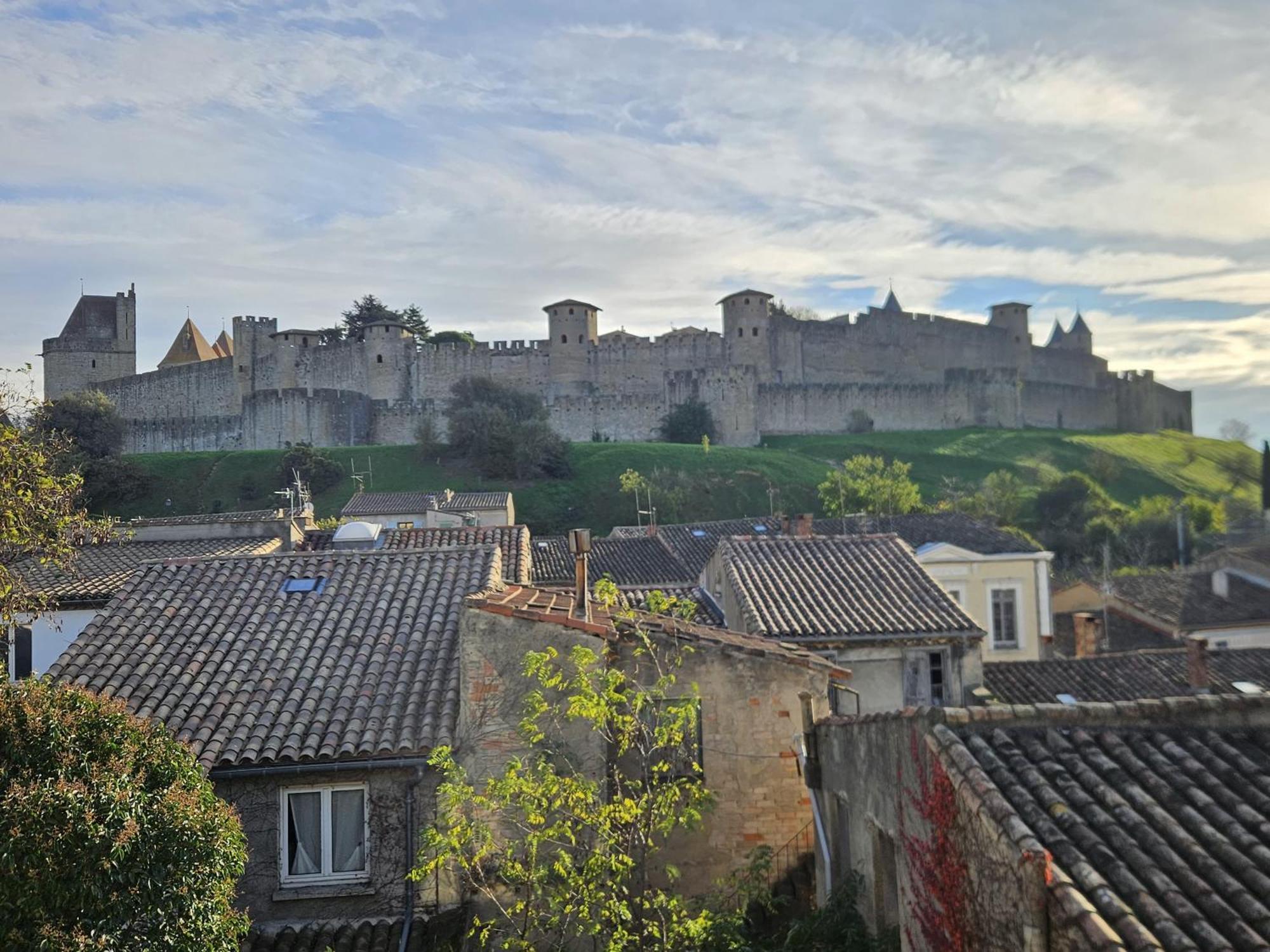Vue Cite Medievale Castel View Carcassonne Extérieur photo